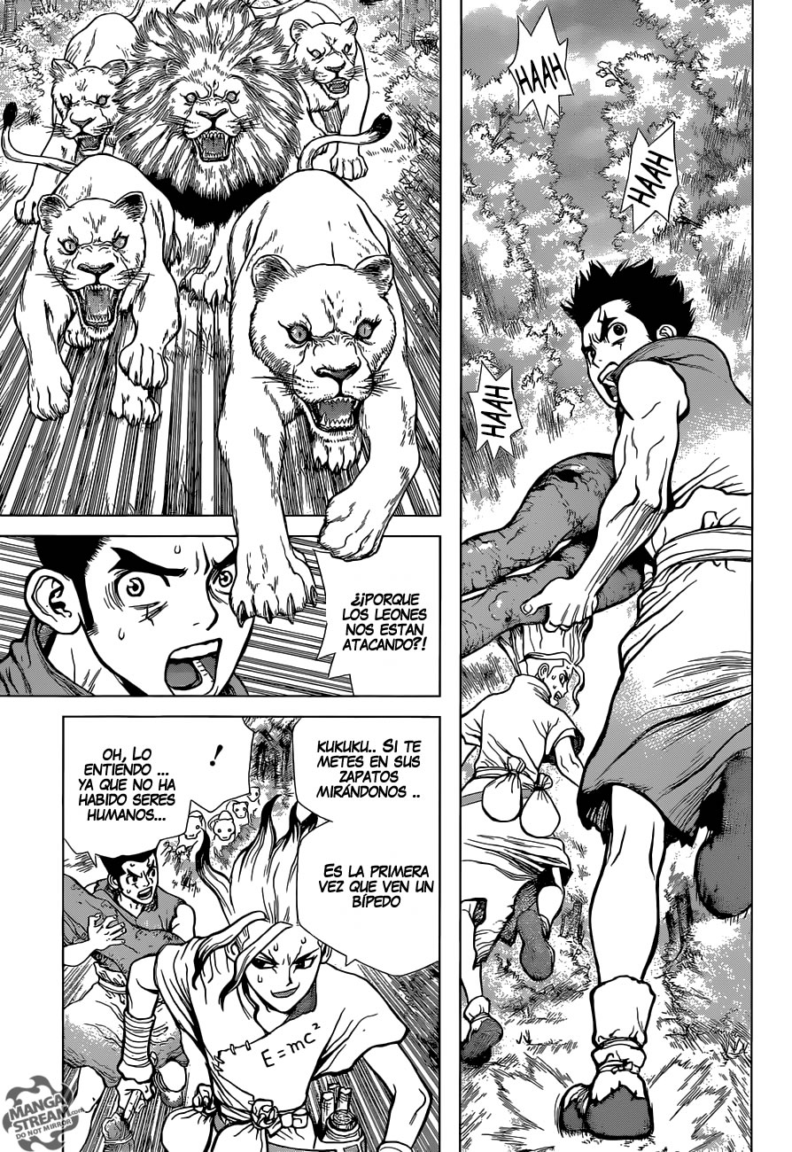 Read Dr. Stone es Manga Online