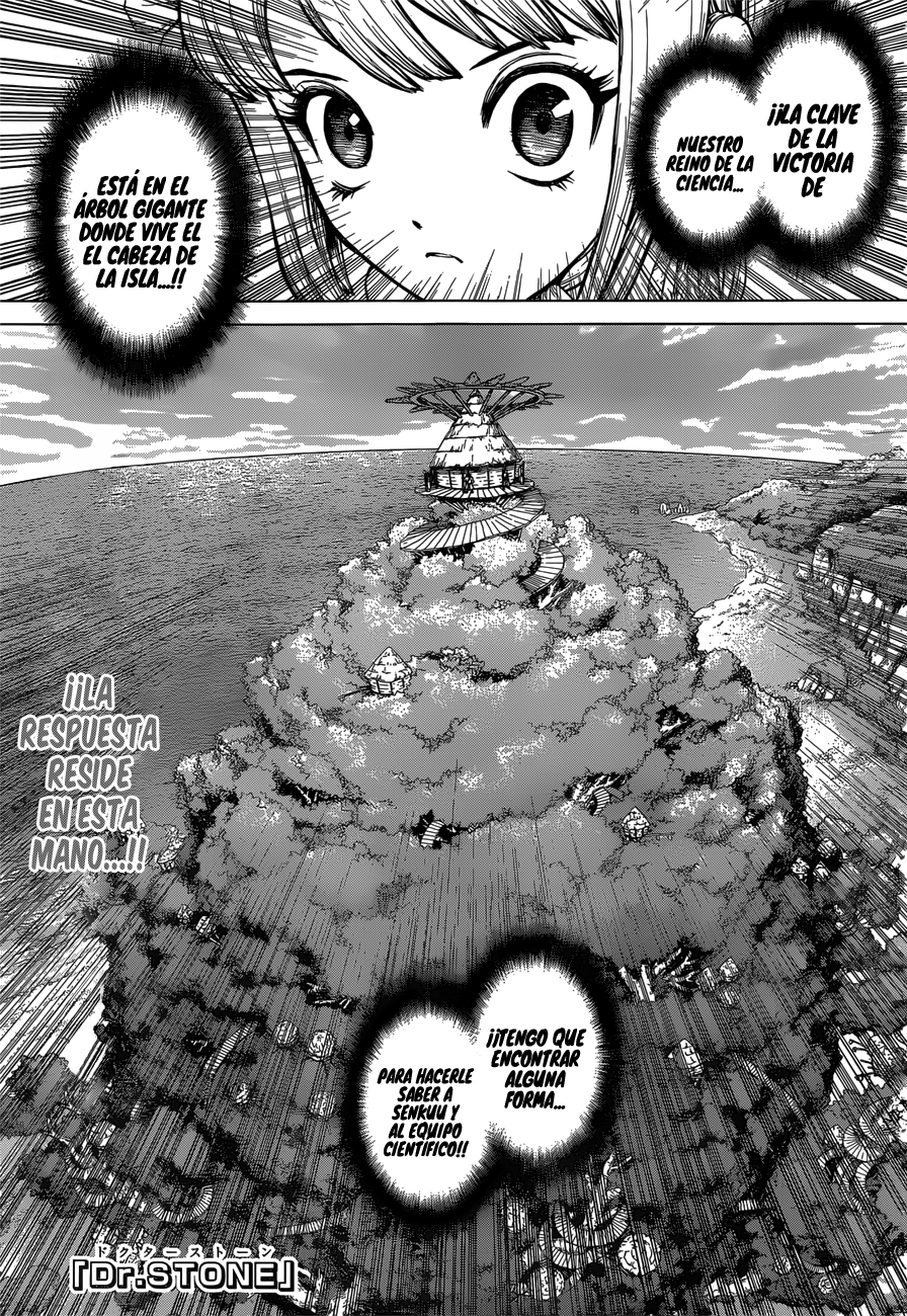Read Dr. Stone es Manga Online