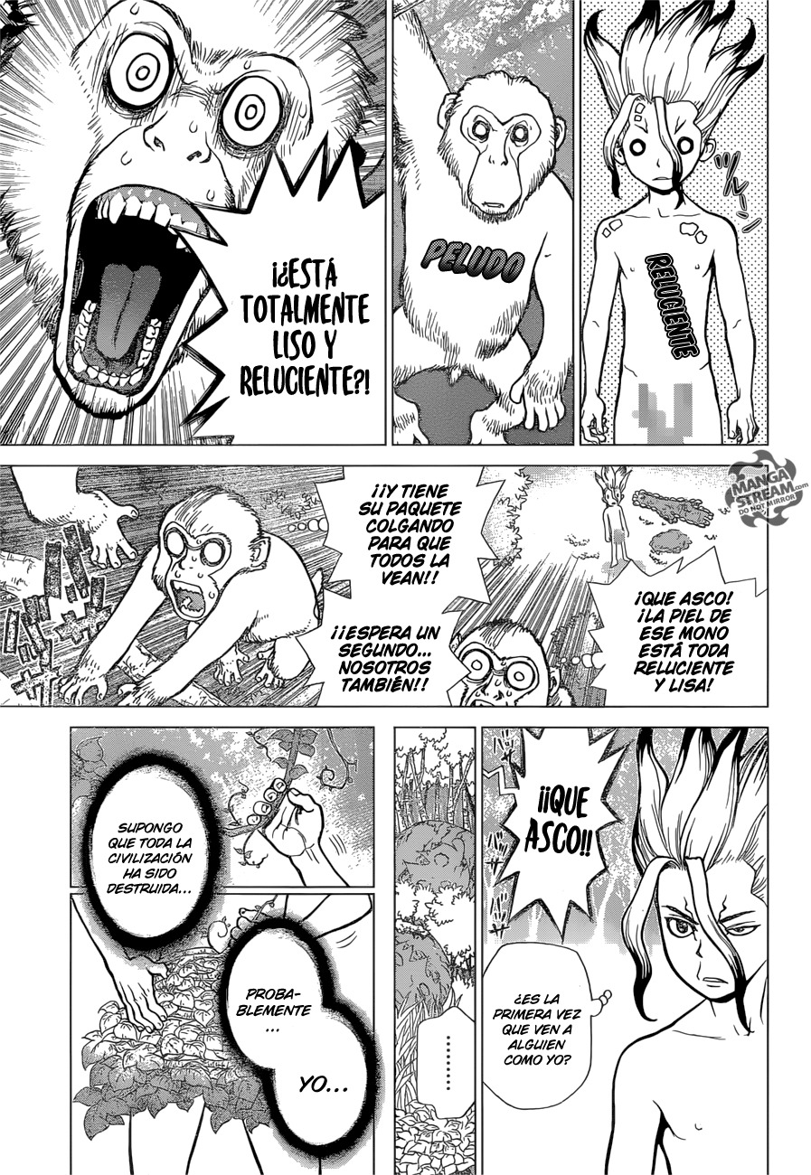 Read Dr. Stone es Manga Online