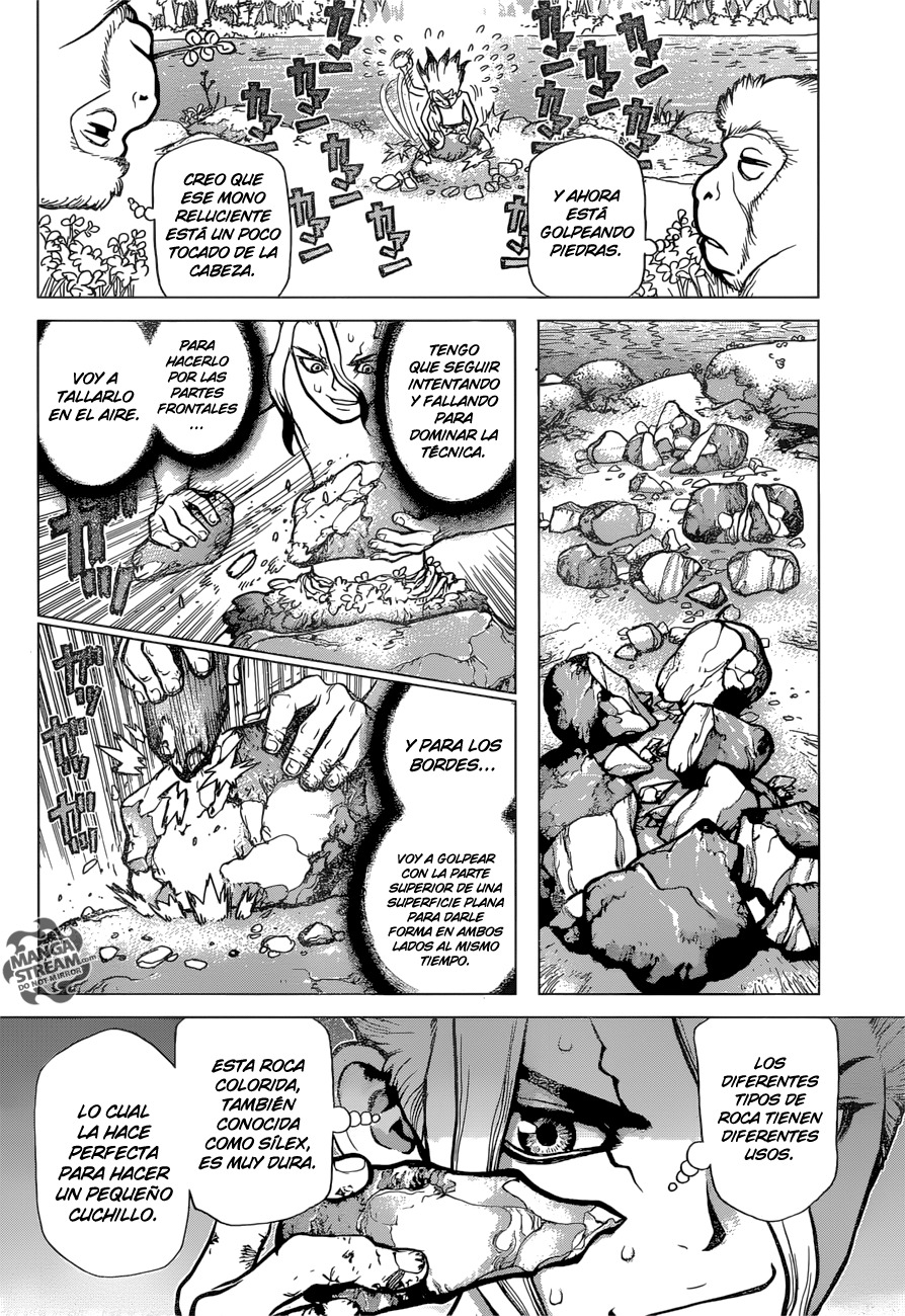 Read Dr. Stone es Manga Online