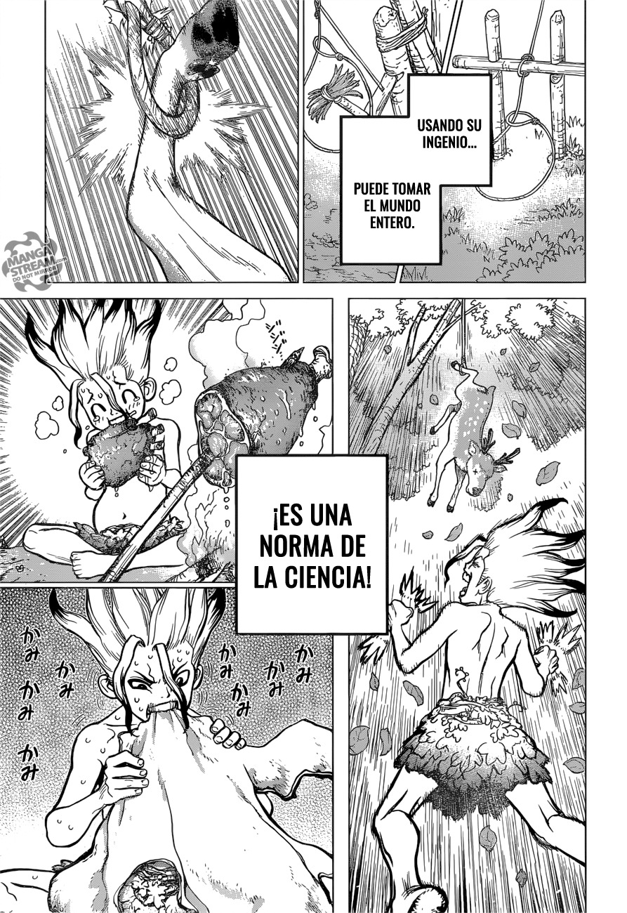 Read Dr. Stone es Manga Online