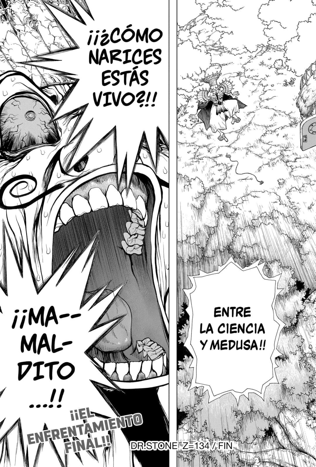 Read Dr. Stone es Manga Online