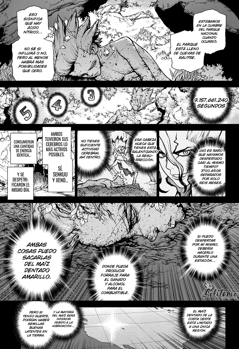 Read Dr. Stone es Manga Online