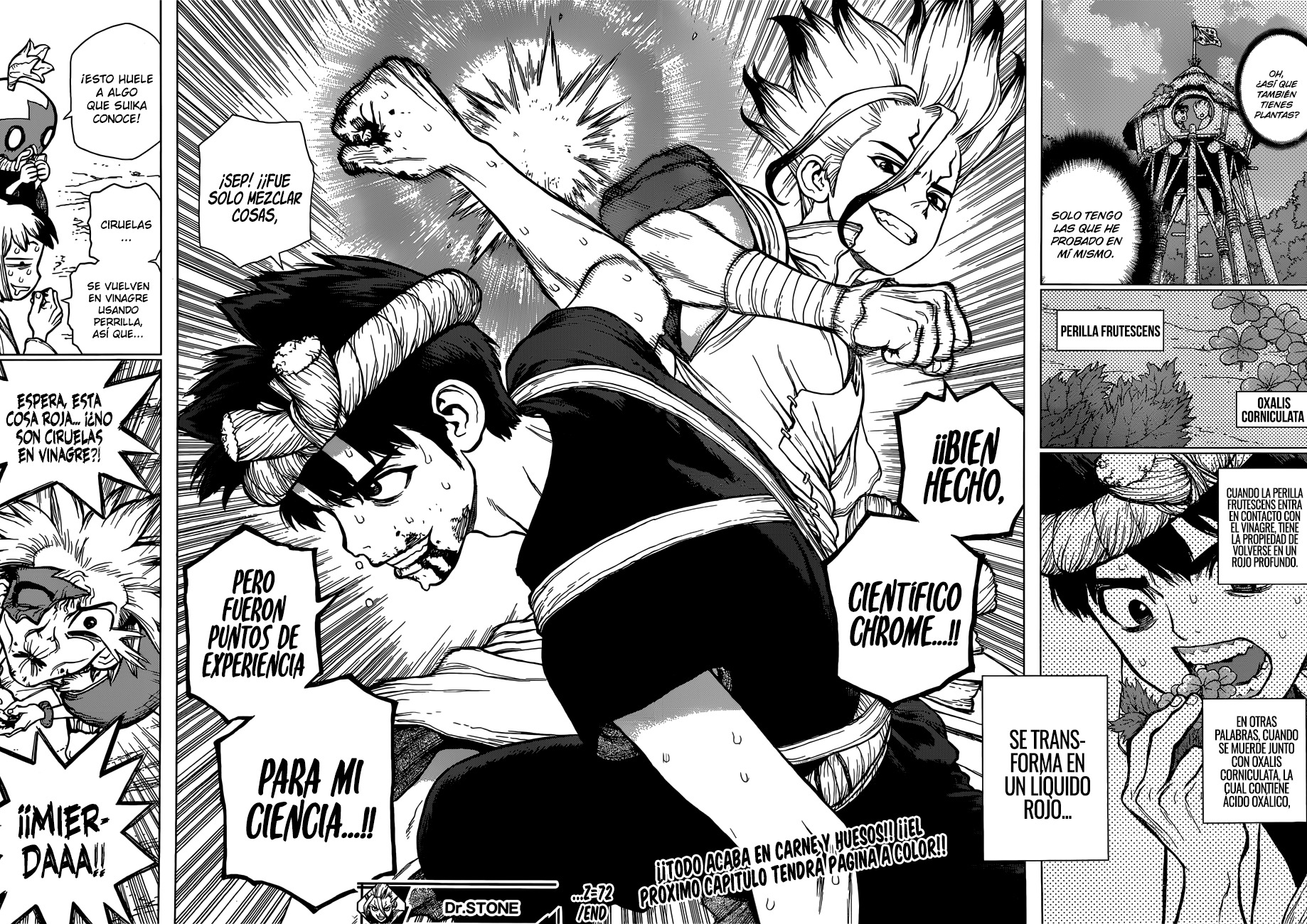 Read Dr. Stone es Manga Online