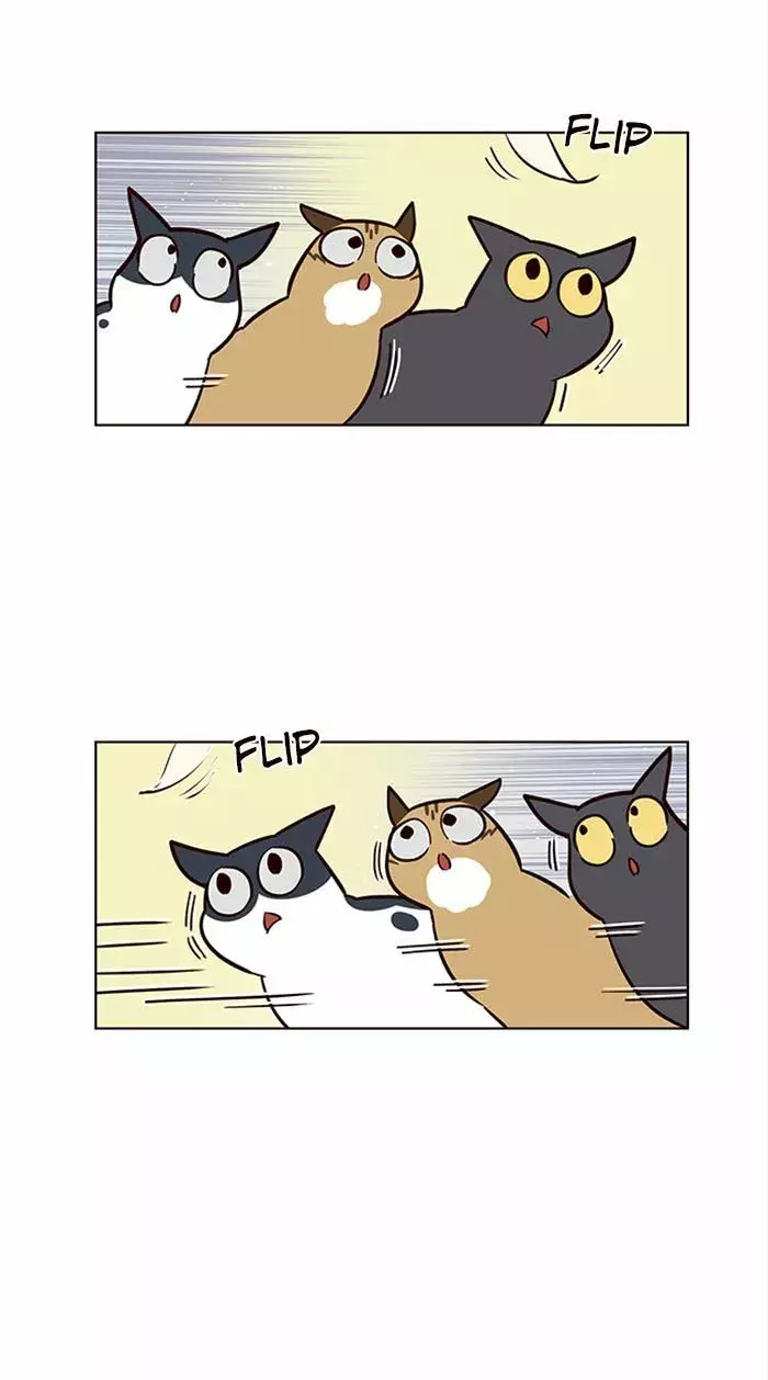 Read Electricidad veloz es Manga Online