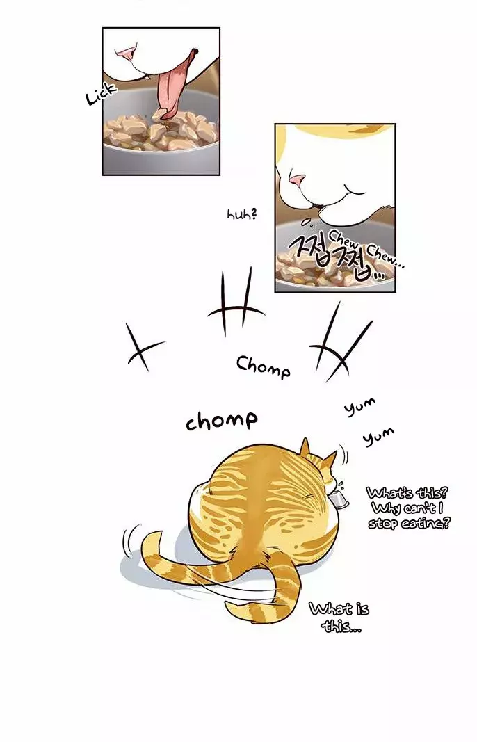 Read Electricidad veloz es Manga Online