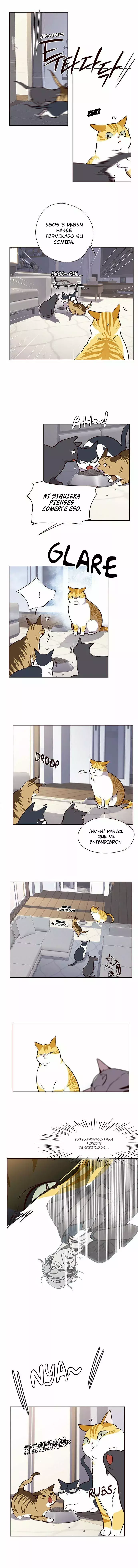 Read Electricidad veloz es Manga Online