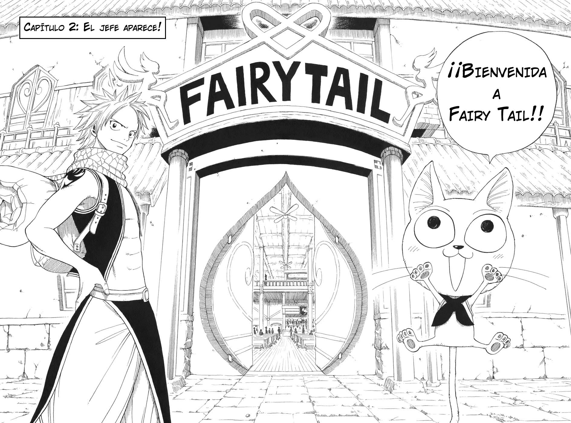 Read Fairy Tail es Manga Online