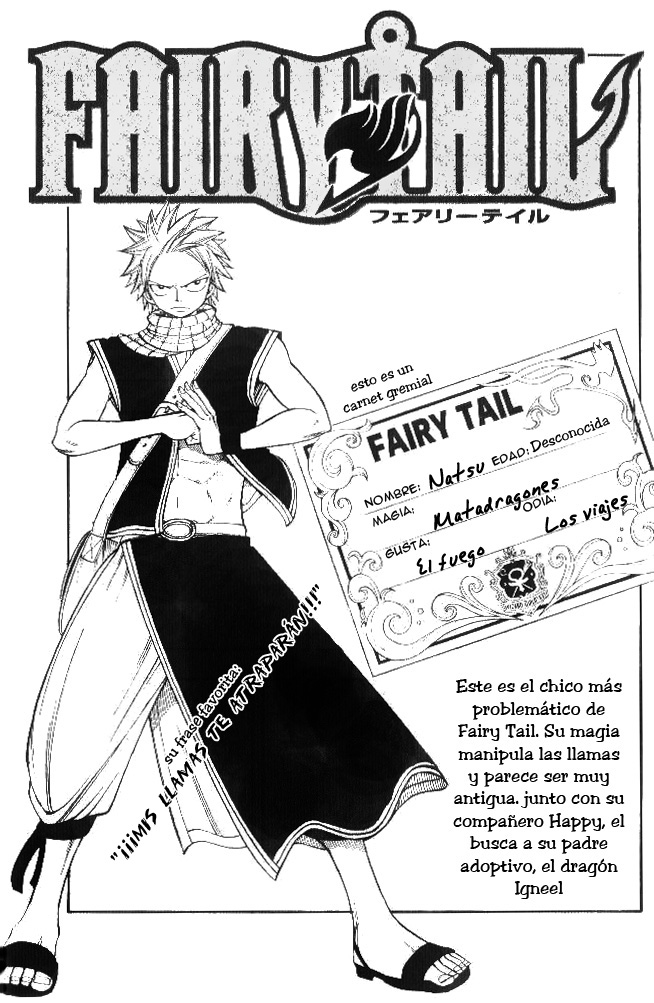 Read Fairy Tail es Manga Online