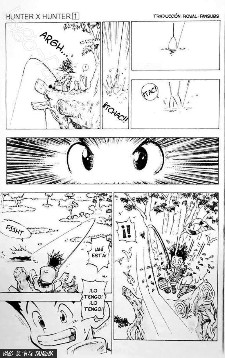 Read Hunter X Hunter es Manga Online