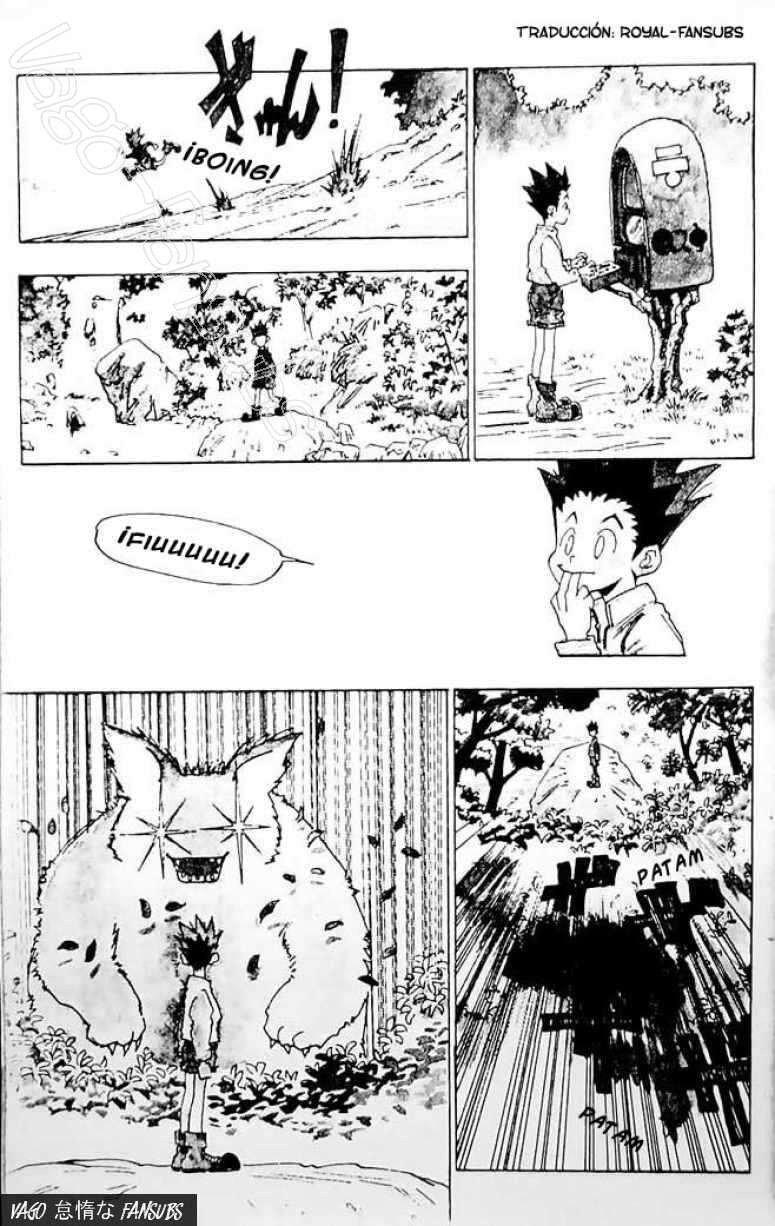 Read Hunter X Hunter es Manga Online