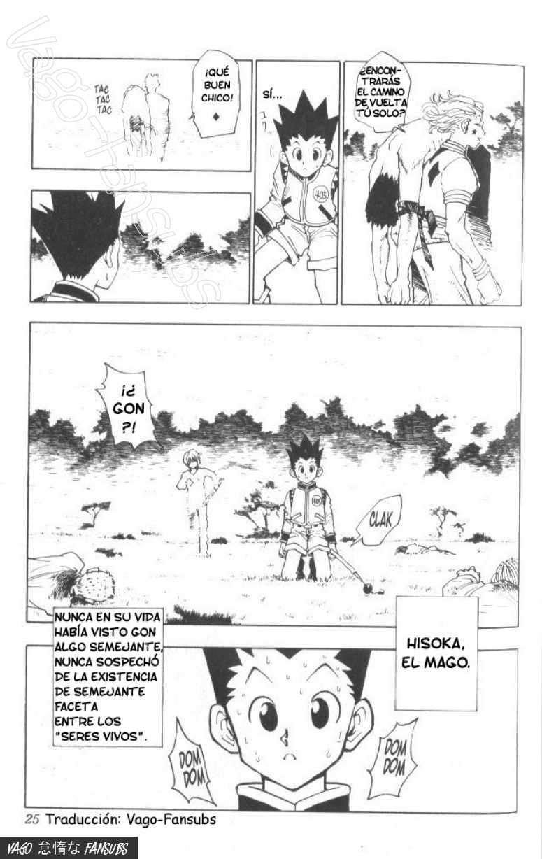 Read Hunter X Hunter es Manga Online
