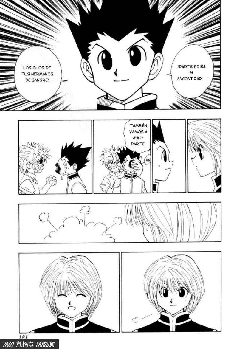 Read Hunter X Hunter es Manga Online