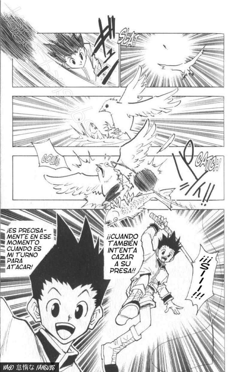 Read Hunter X Hunter es Manga Online