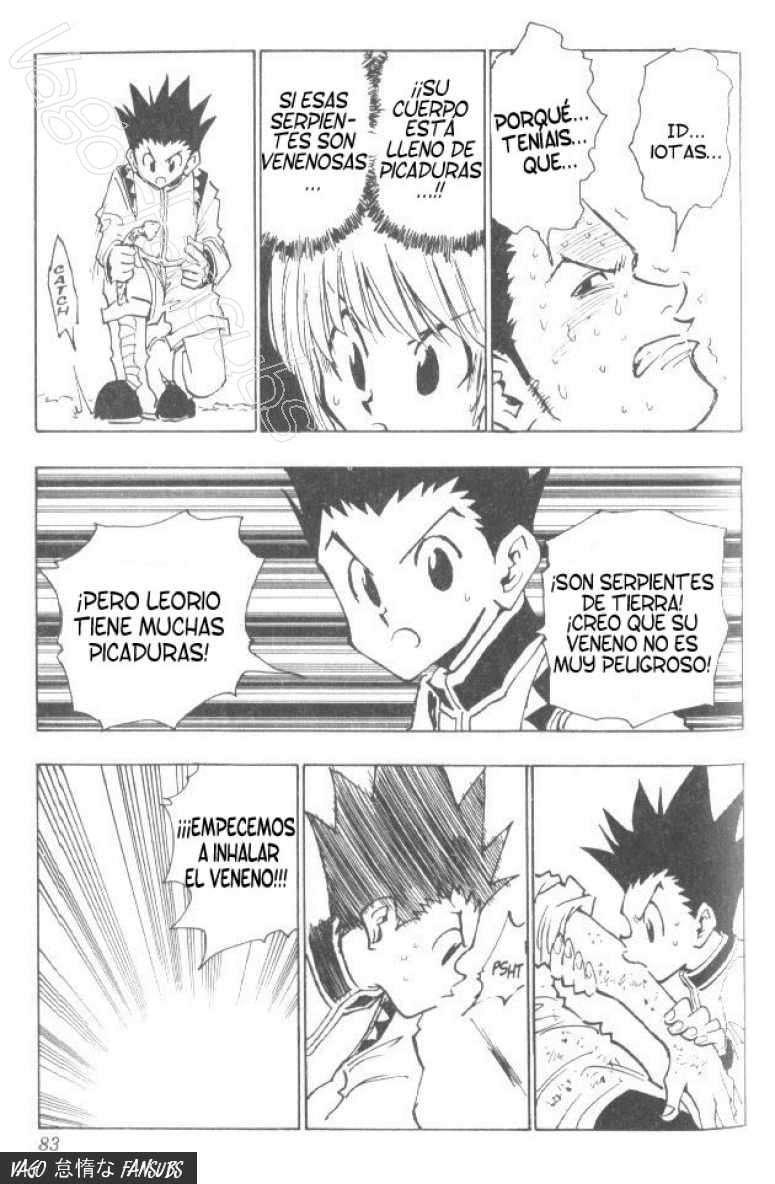 Read Hunter X Hunter es Manga Online