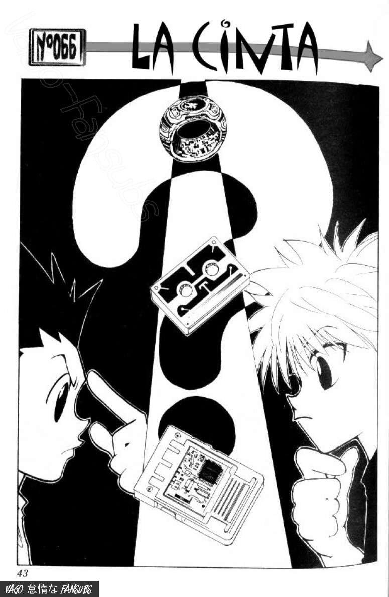 Read Hunter X Hunter es Manga Online