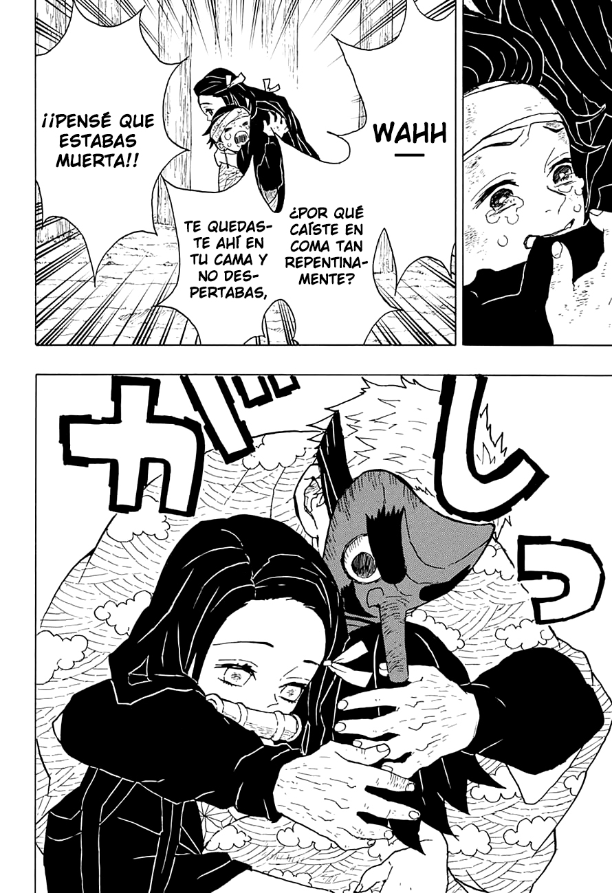 Read Kimetsu no Yaiba es Manga Online