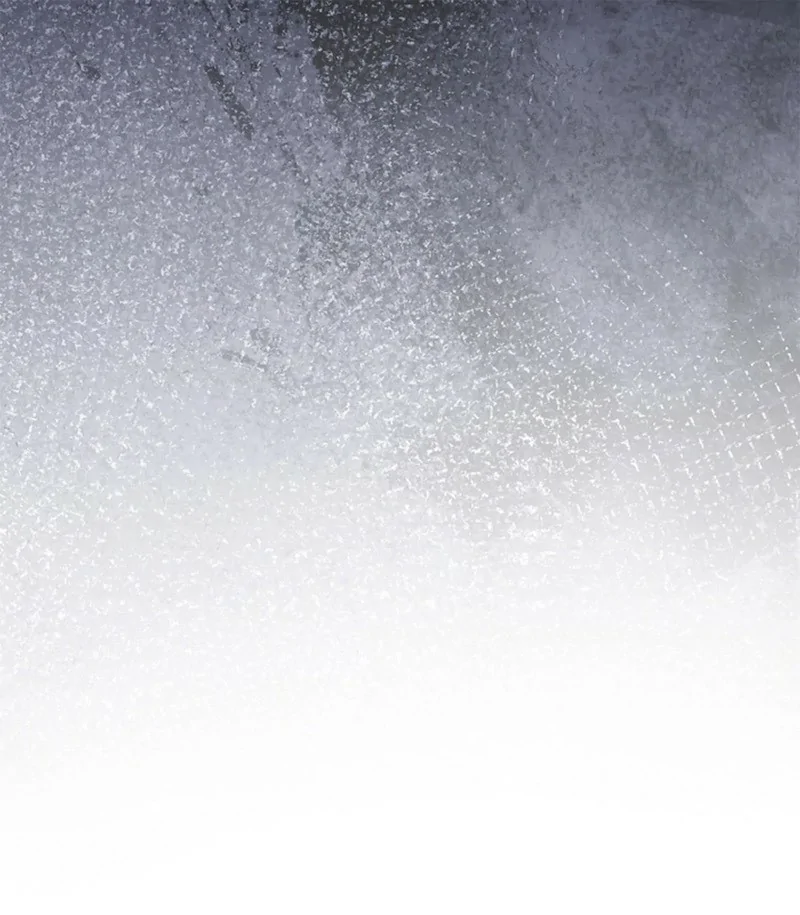 Read Llevaré a esta familia a la grandeza es Manga Online