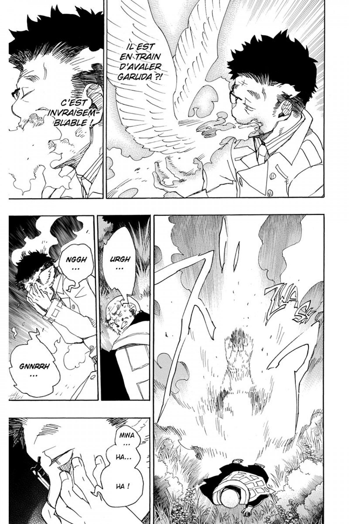 Read Ao No Exorcist fr Manga Online