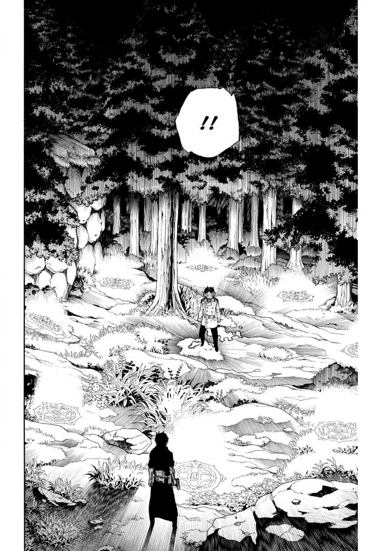 Read Ao No Exorcist fr Manga Online