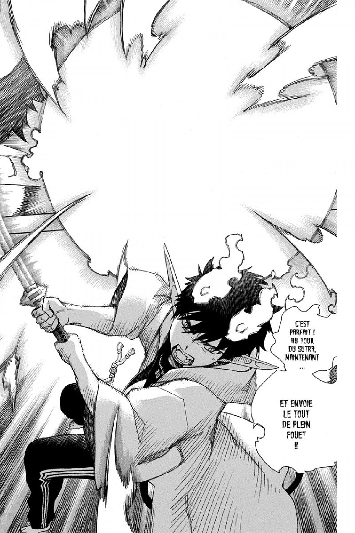 Read Ao No Exorcist fr Manga Online