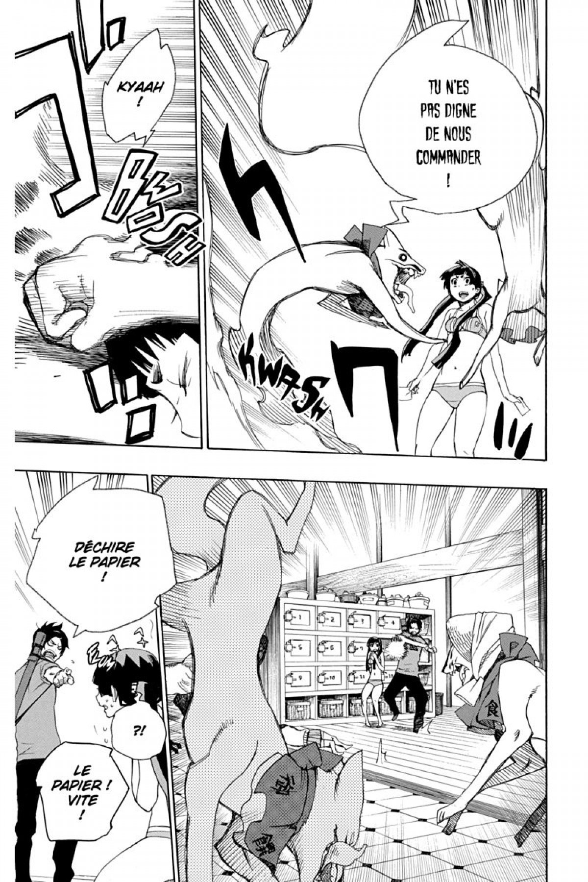 Read Ao No Exorcist fr Manga Online