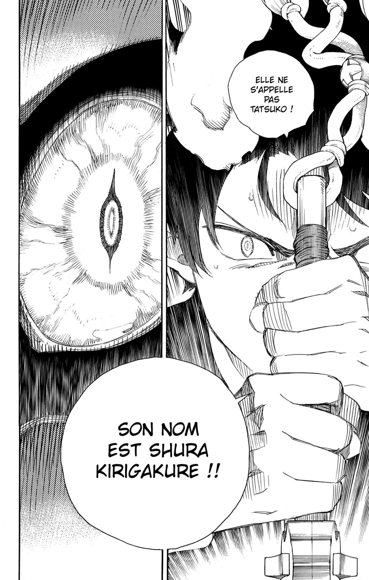 Read Ao No Exorcist fr Manga Online