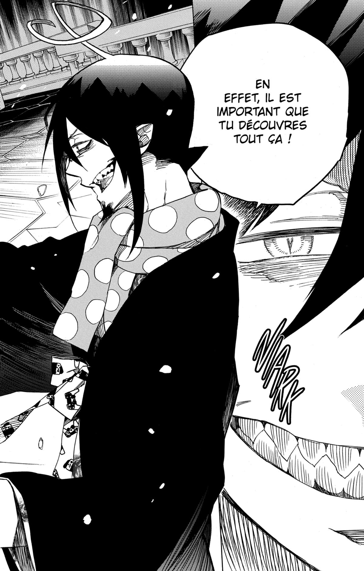 Read Ao No Exorcist fr Manga Online