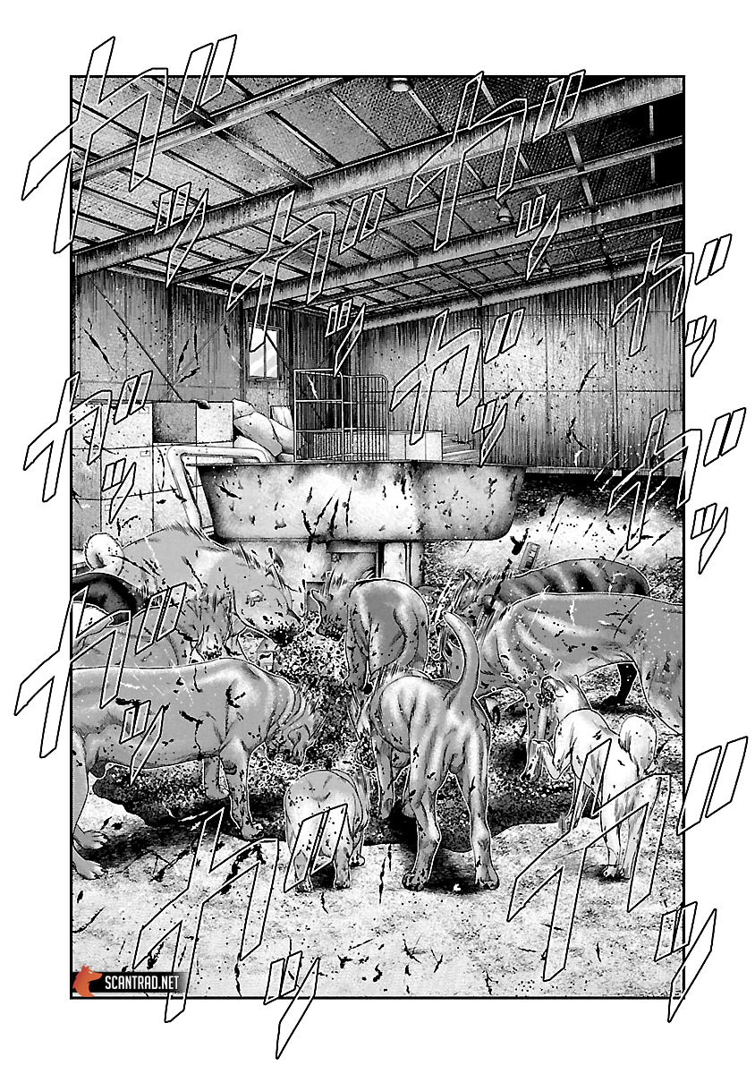 Read Bouncer fr Manga Online